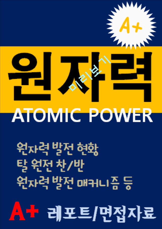 [A+ 레포트] 탈원전 에너지 정책(원전 찬반/원전해체)   (1 )